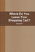 Where Do You Leave Your Shopping Cart? by Daniel P