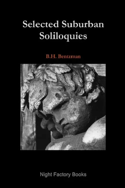 Selected Suburban Soliloquies by B. H. Bentzman