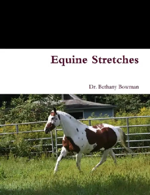 Equine Stretches by Bethany Bowman