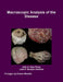 Macroscopic Analysis of the Disease by Julio Diaz-Perez, Juan Barajas-Gamboa