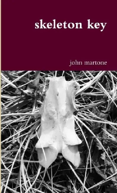 skeleton key by John Martone