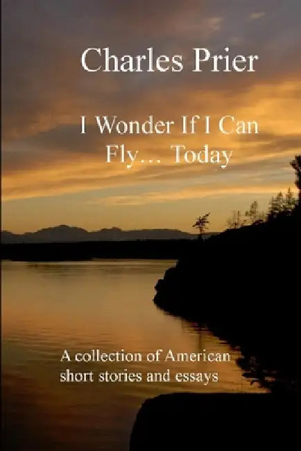 I wonder if I can fly... Today by Charles Prier