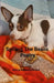 Spilling The Beans Poetry Marcia Renee Robinson by Marcia Robinson, Diamond Robinson