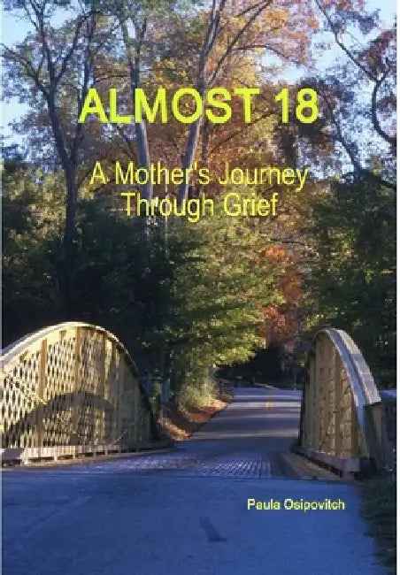 Almost 18 by Paula Osipovitch