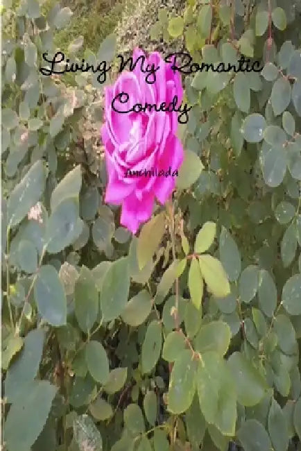 Living My Romantic Comedy by Anchilada And Friends
