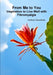 From Me to You: Inspiration to Live Well with Fibromyalgia by Cathryn Goodman