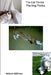 The Cat Thinks The Dog Thinks by Selena Millman, Selena Millman, Selena Millman