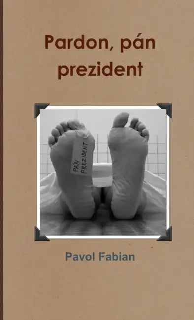 Pardon, pán prezident by Pavol Fabian