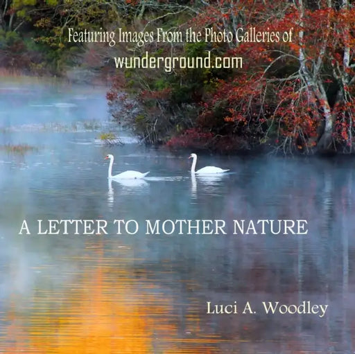 A Letter to Mother Nature: Words of Gratitude by Luci Woodley