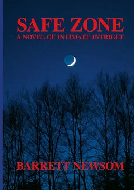 Safe Zone: A Novel of Intimate Intrigue by Barrett Newsom