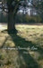 Whispers Between the Lines by Becky Syfrett