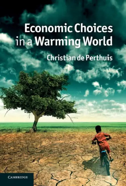 Economic Choices in a Warming World by Christian de Perthuis, Christian De Perthuis, Michael Westlake