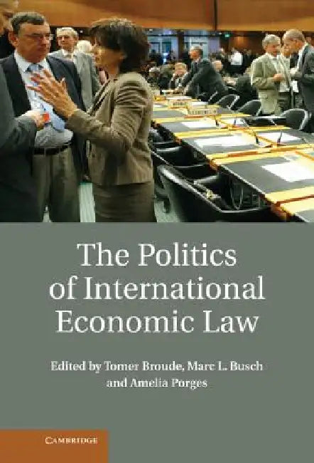 The Politics of International Economic Law by Tomer Broude, Marc L. Busch, Amelia Porges