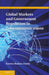 Global Markets and Government Regulation in Telecommunications by Kirsten Rodine-Hardy