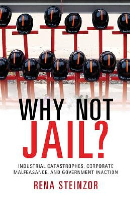 Why Not Jail? by Rena Steinzor
