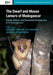 The Dwarf and Mouse Lemurs of Madagascar: Biology, Behavior and Conservation Biogeography of the Cheirogaleidae by Shawn M. Lehman, Ute Radespiel, Elke Zimmermann