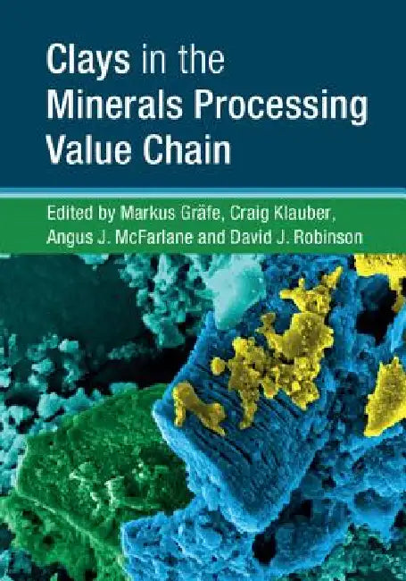 Clays in the Minerals Processing Value Chain by Markus Gräfe, Craig Klauber, Angus J. McFarlane
