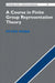 A Course in Finite Group Representation Theory by Peter Webb