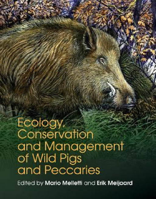 Ecology, Conservation and Management of Wild Pigs and Peccaries by Mario Melletti, Erik Meijaard