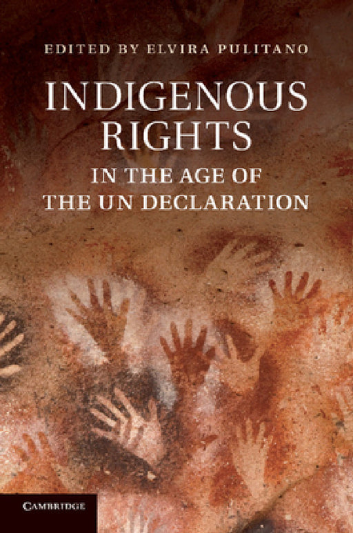 Indigenous Rights in the Age of the Un Declaration by Elvira Pulitano