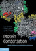 Protein Condensation: Kinetic Pathways to Crystallization and Disease by James D. Gunton, Andrey Shiryayev, Daniel L. Pagan