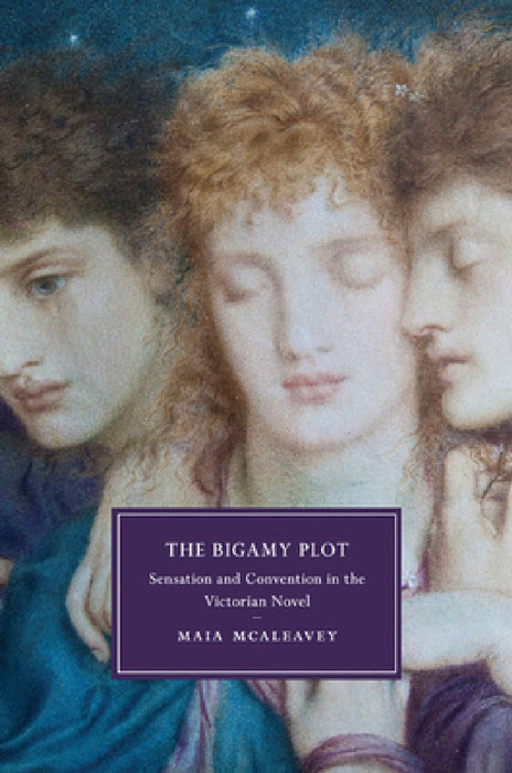 The Bigamy Plot by Maia McAleavey