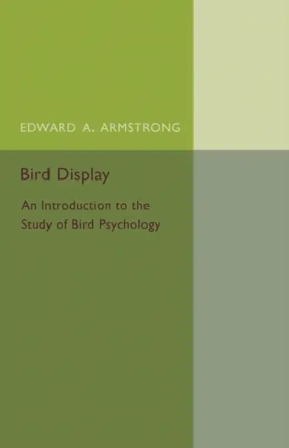 Bird Display by Edward A. Armstrong