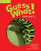 Guess What! Level 1 Pupil's Book British English by Susannah Reed