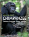 Chimpanzee by Kevin D. Hunt