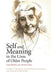 Self and Meaning in the Lives of Older People: Case Studies Over Twenty Years by Peter G. Coleman, Christine Ivani-Chalian, Maureen Robinson