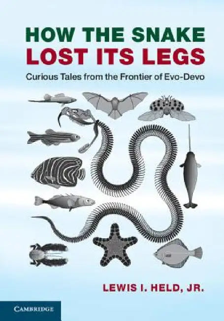 How the Snake Lost its Legs by Jr. Held Lewis I.