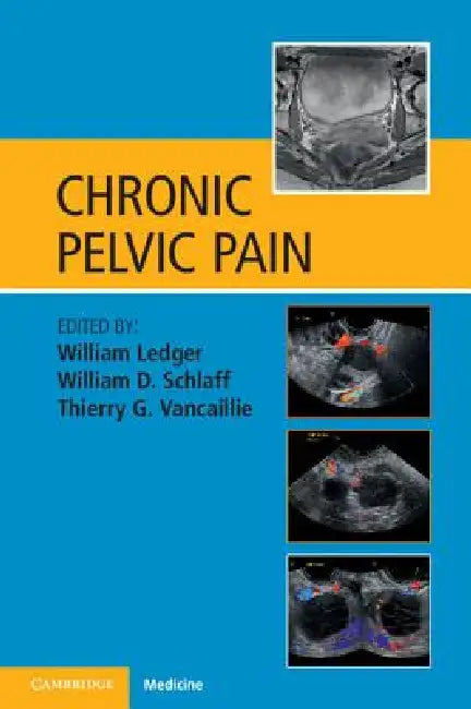 Chronic Pelvic Pain by William Ledger, William D. Schlaff, Thierry G. Vancaillie