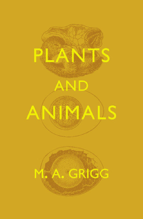 Plants and Animals by M. A. Grigg, H. Munro Fox