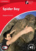 Spider Boy Level 1 Beginner/Elementary by Margaret Johnson