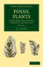 Fossil Plants - Volume 1 by A. C. Seward