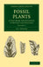Fossil Plants - Volume 2 by A. C. Seward