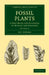 Fossil Plants - Volume 3 by A. C. Seward
