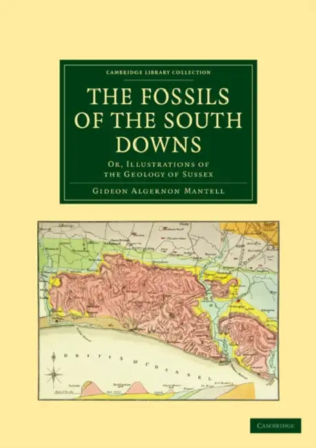 The Fossils of the South Downs: Or, Illustrations of the Geology of Sussex by Gideon Algernon Mantell