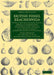 British Fossil Brachiopoda - Volume 4 by Thomas Davidson, Richard Owen, William Benjamin Carpenter