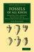 Fossils of All Kinds: Digested Into a Method, Suitable to Their Mutual Relation and Affinity by John Woodward