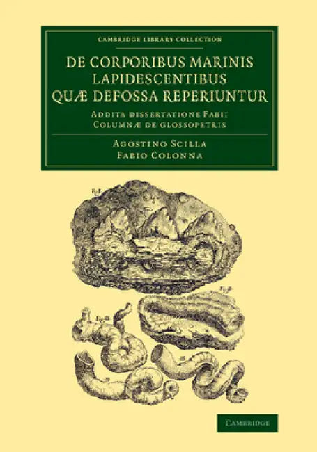 De corporibus marinis lapidescentibus quæ defossa reperiuntur by Agostino Scilla, Fabio Colonna