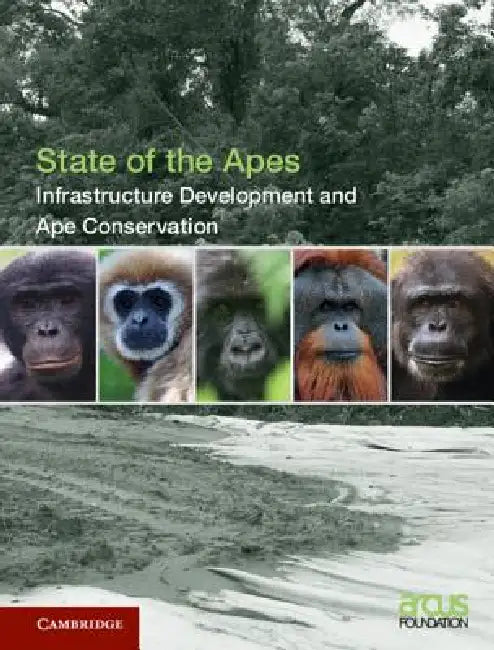 Infrastructure Development and Ape Conservation: Volume 3 by Arcus Foundation