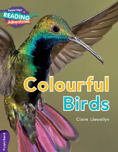 Colourful Birds Purple Band by Claire Llewellyn