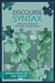 Discourse Syntax by Heidrun Dorgeloh