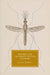 Malaria and Victorian Fictions of Empire by Jessica Howell