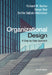 Organizational Design by Richard M. Burton