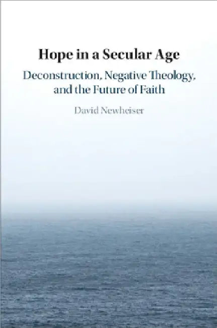 Hope in a Secular Age by David Newheiser