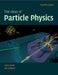 The Ideas of Particle Physics by James E. (St Cross College, Oxford) Dodd