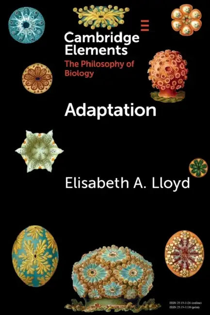 Adaptation by Elisabeth Lloyd