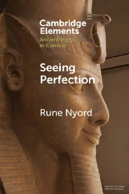 Seeing Perfection by Rune Nyord